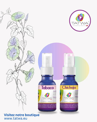 Ancrage émotionnel – Purification & protection intérieure kit with Tabaco and Chichaja bottles for emotional cleansing.