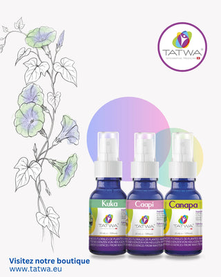 Anti Stress Naturel Puissant – Calme, clarté et sérénité intérieure - Kit Stress++ de TATWA avec 3 flacons.