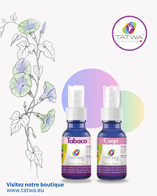 Flacons de spray Tabaco et Caipi de TATWA sur fond floral, produits pour le bien-être.