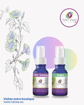 Kit Anxiété de Tatwa avec Chirc Sanango et Kuka pour apaiser les crises d’anxiété et retrouver le calme.