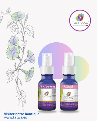 Kit Dépression – Retrouver la lumière intérieure et l’élan vital, contenant les essences Chiric Sanango et Caapi.