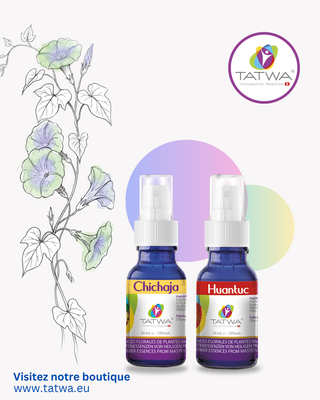 Détox Foie et Émotions naturelle - Kit Detox avec Chichaja et Huantuc, sprays pour un bien-être optimal.