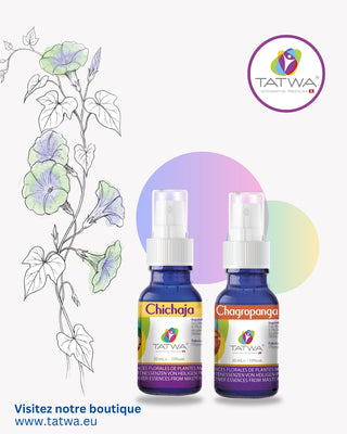 Kit Floral Développez vos Facultés Intuitives et Médiumniques - Essences Florales Tatwa.
