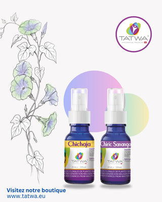 Douleurs Articulaires | Soulagement naturel et fluidité du corps - Kit de sprays Chichaja et Chiric Sanango