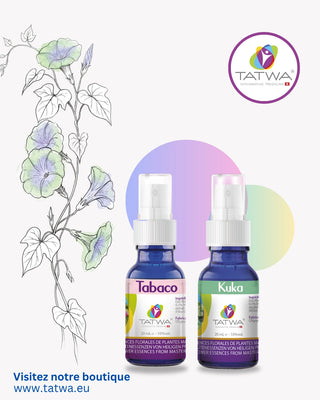 Flacons de TATWA pour Tabaco et Kuka, huiles florales pour bien-être et équilibre.