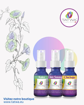 Kit Équilibre Intérieur – Retrouver harmonie et alignement avec les essences florales Tatwa.