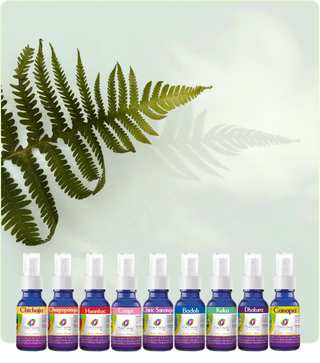 Révélez Votre Plein Potentiel