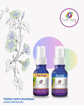 Éveil Yin & Yang: Kit avec essences Chichaja et Badoh pour équilibrer les forces Yin et Yang.