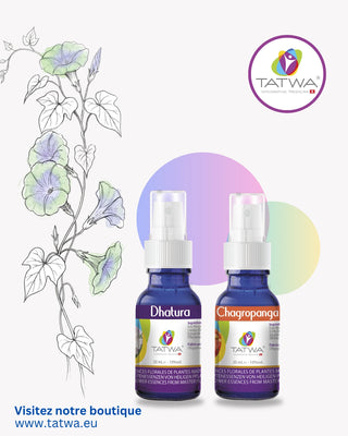 Éveil Spirituel - Conscience & Expansion, kit d'essences florales Chagropanga et Dhatura