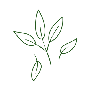 Formulation naturelle Tatwa