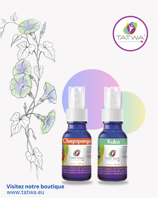 Kit Floral Glandes Endocrines - Rééquilibrer l’énergie vitale du corps, comprenant les essences Chalgraponga et Kuka.