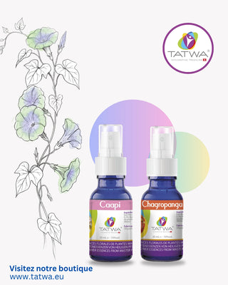 Kit Guidance - Retrouver la clarté intérieure et l’écoute de l’âme - Essences florales Tatwa.
