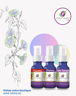 Ho'oponopono | Pardon & Libération émotionnelle - Kit d'Essences Florales Tatwa
