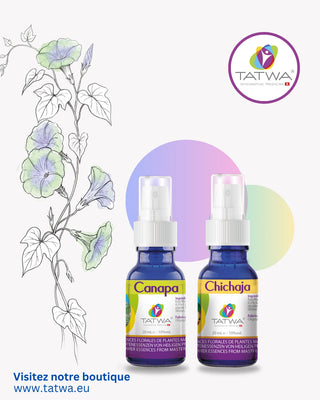 Kit Libérer la pression intérieure naturellement Tatwa