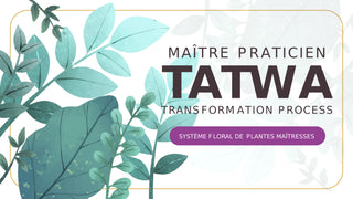 Maître Praticien Système Floral Tatwa 