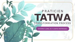 Praticien Système Floral Tatwa