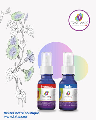 Kit Floral Prendre Sa Place - Être légitime avec Essences Florales de Huantuc et Badoh.