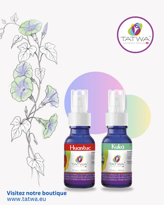 Kit Rescue - Choc Émotionnel de Tatwa, comprenant les essences florales Huantuc et Kuka.