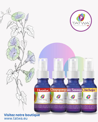 Kit Floral Résilience - Retrouver la force intérieure après l’épreuve avec quatre flacons de sprays.