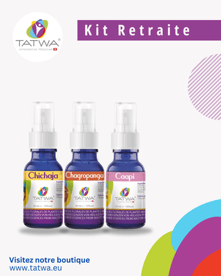 Retraite Spirituelle, introspection, oeuvre alchimique, Essences Florales - Elixirs Floraux