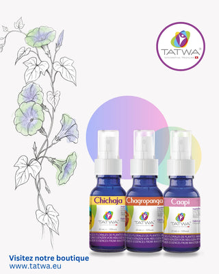 Kit Retraite spirituelle | Profondeur, recentrage et transformation par Tatwa avec trois flacons de synergie florale.