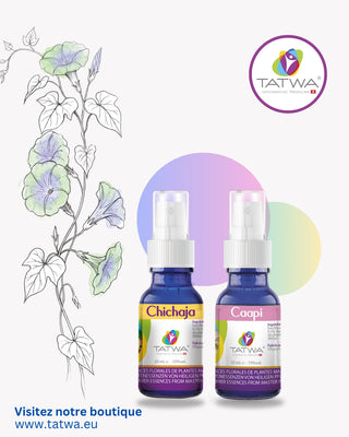Kit Retrouver la Sérénité | Crises d'angoisse - Essences florales Tatwa pour apaiser le stress.