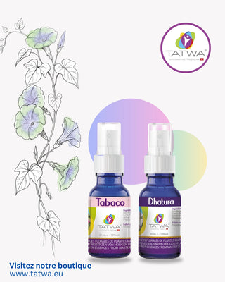 Produits TATWA - Tabaco et Datura, essences florales pour le bien-être.