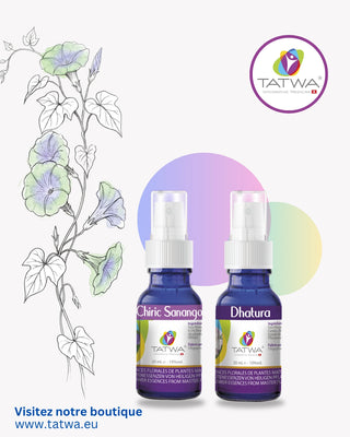 Sommeil profond | Kit Floral, flacons Tatwa pour apaiser le mental et favoriser un sommeil réparateur.