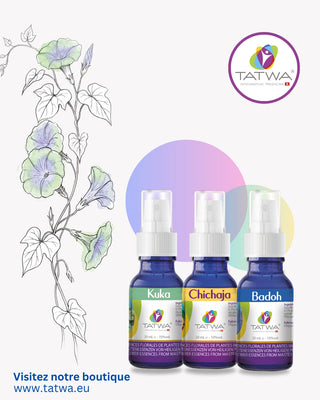 Surmonter le BurnOut émotionnel - Retrouver énergie et équilibre avec Kit Burn Out de Tatwa.