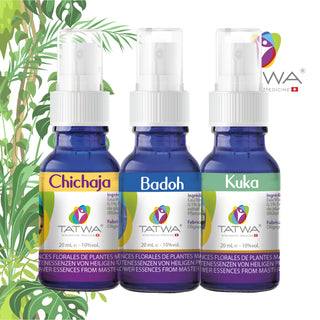 Découvrez un kit pour aider à retrouver calme et apaisement des émotions grâce aux essences florales amazoniennes