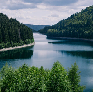 Prendre le temps d'apprécier la nature