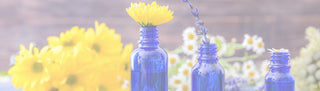 photo essences florales